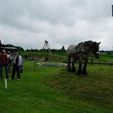 IMGP6453.JPG