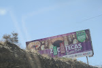 IMG_7322.JPG