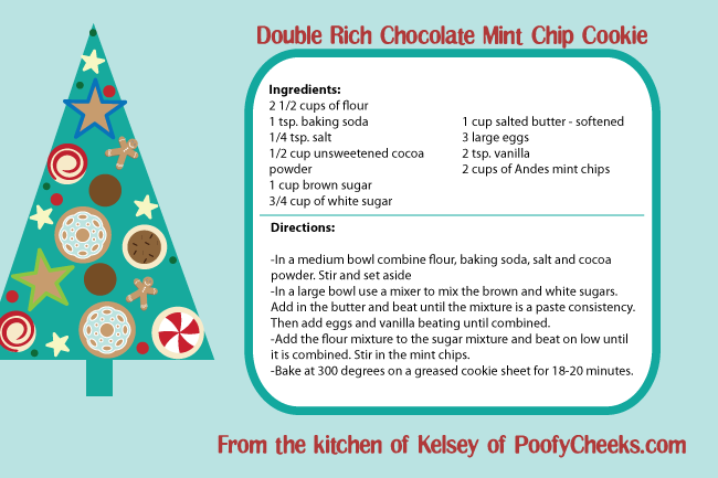 Double Rich Chocolate Mint Chip Cookie Recipe