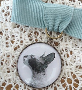 animal_broach