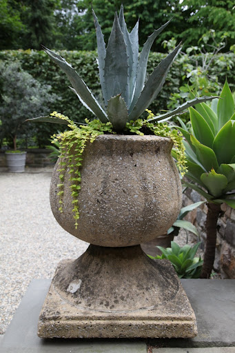 This includes palms, cycads, and succulents like agaves and cacti.  Each are planted in majestic stone pots.