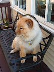 Missy Chow, getting sentimental about Holiday time.
