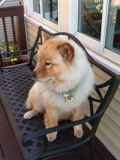 Missy Chow, getting sentimental about Holiday time.