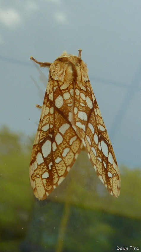 [around-mom-and-dads_0634.jpg]