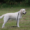 IMG_9542.JPG