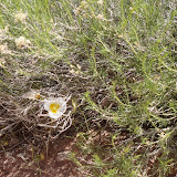 DSC00082.JPG