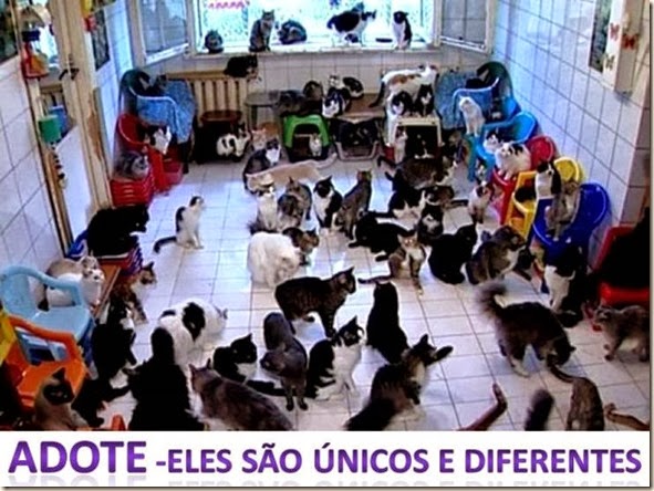 Slide13 Slide13