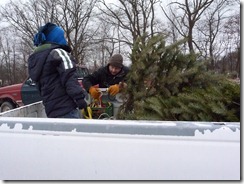 2011-12-17 cutting the tree 008