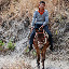 Tiger leaping Gorges - man on mule