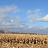 "Indiana Autumn" - copyright David Thompson