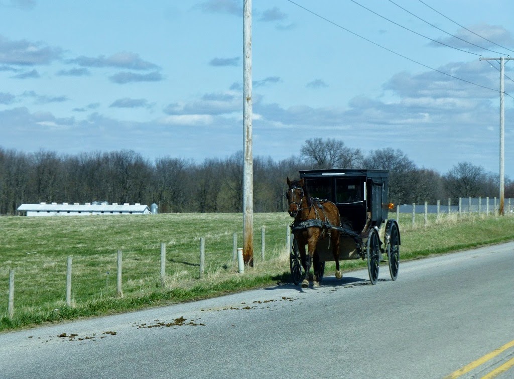 [Amish-Buggy-32.jpg]