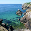 Alison Byrne - Saltee Islands.jpg