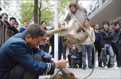 http://lh4.ggpht.com/-0C5nFfZCy2E/Td9G98O1pHI/AAAAAAAABz0/pS_k5a5th74/f11g45h5h.jpg