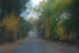 16-Saturday Drive