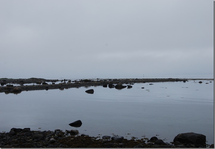 DSC_4791