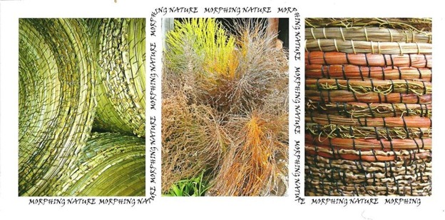 [morphing%2520nature%2520001%255B6%255D.jpg]