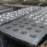 5 - PICT1048.JPG
