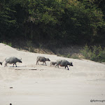 IMG_1782.JPG