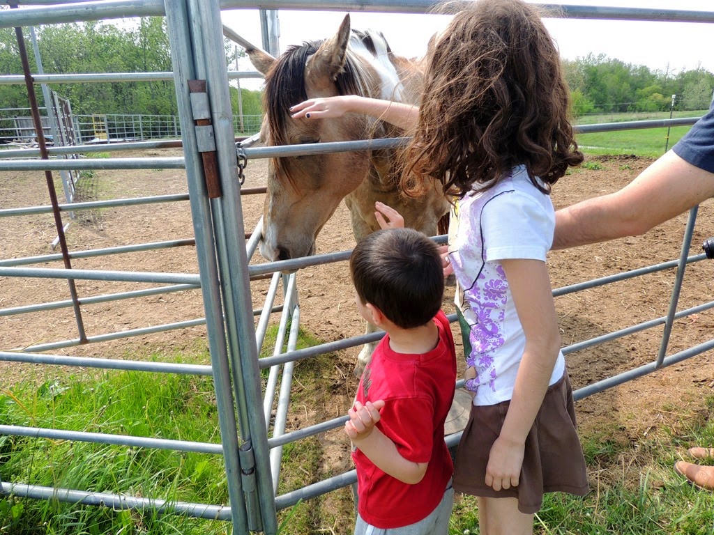 [DSCN9032%255B3%255D.jpg]