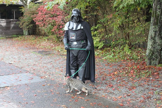 [strange-cats-expain-that-enhanced-buzz-4978-1334176085-58%255B2%255D.jpg]