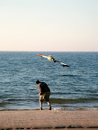 IMG_2545.jpg