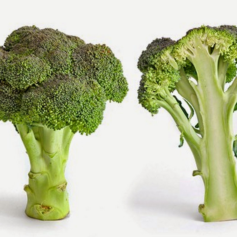 I broccoli, d’origine piuttosto incerta, sono tra le crucifere più coltivate in Italia.