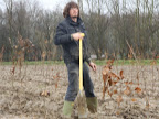 20120128-boomplantactie-preshoekbos / P1280028.JPG