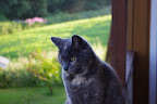 IMGP0035.JPG