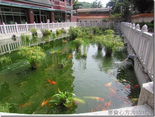 IMG_1346 IMG_1346