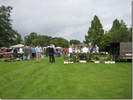 IMG_2542 IMG_2542