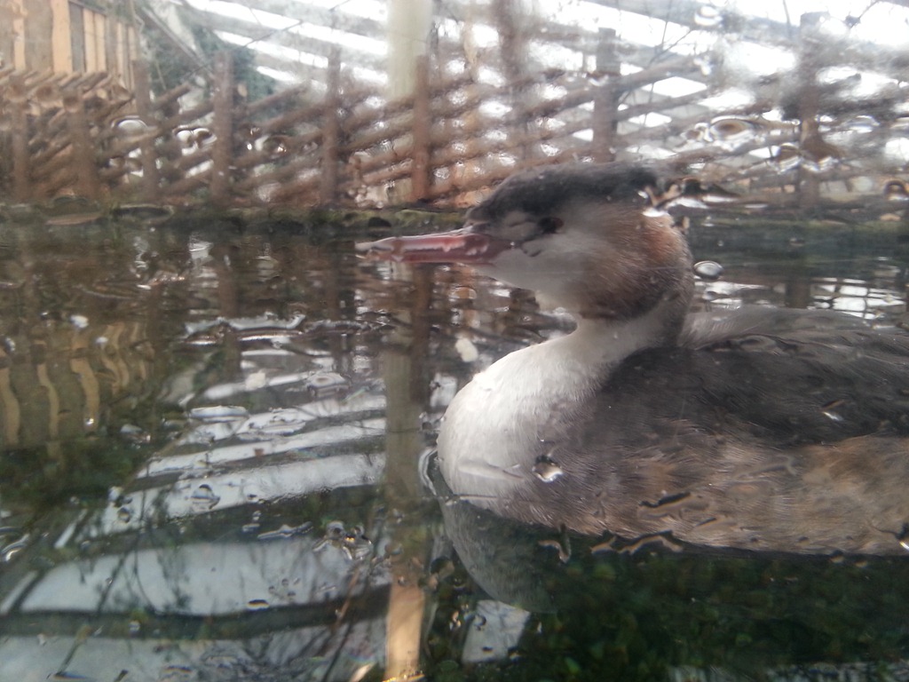 [2013-02-03%252012.02.57%255B8%255D.jpg]