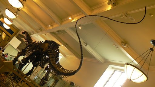 Brainstorm Natural History Museum increíble equilibrio de dinosaurios 
