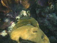 IMG_4456.jpg