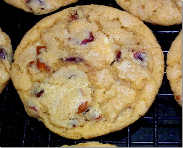 White Chocolate Cranberry Pecan Cookies 11-8-11
