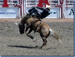 9414 Alberta Calgary - Calgary Stampede 100th Anniversary - Stampede Grandstand - Calgary Stampede Bareback Championship 9414 Alberta Calgary - Calgary Stampede 100th Anniversary - Stampede Grandstand - Calgary Stampede Bareback Championship