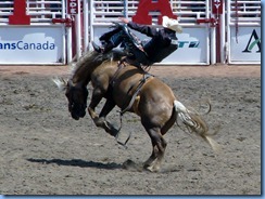 9414 Alberta Calgary - Calgary Stampede 100th Anniversary - Stampede Grandstand - Calgary Stampede Bareback Championship