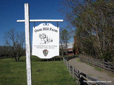 Oxon Hill Farm