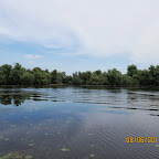 IMG_0241.JPG