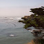 Mendocino