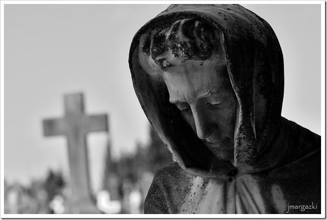 DSC_4876 DSC_4876