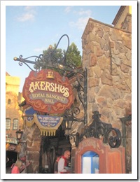 Florida vacation Epcot Germany Akershaus