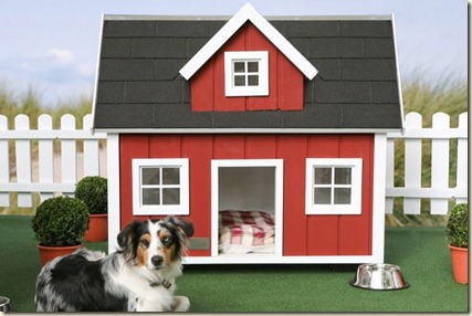 casas para perros-