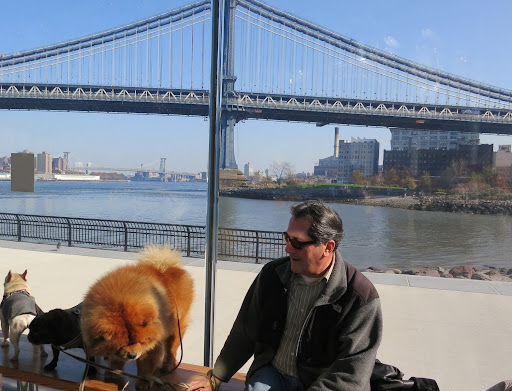 Well, here we are at Jane's Carousel, located in the Dumbo section of Brooklyn, New York.  This completely restored historic carousel was made by the Philadelphia Toboggan Company in 1922.