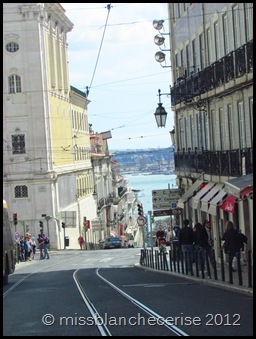 IMG_3890 IMG_3890