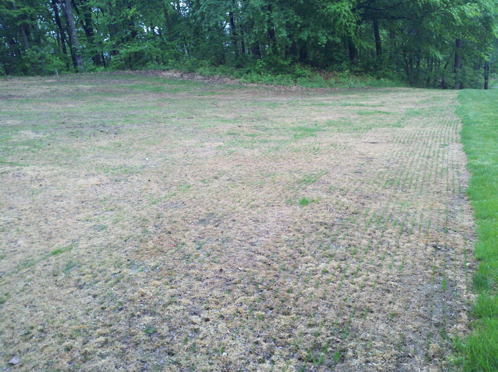[2012-05-01_07-45-05_921%255B5%255D.jpg]