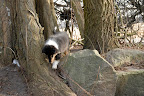 _DSC0083.JPG