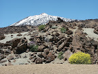 Teneriffas Gebirge