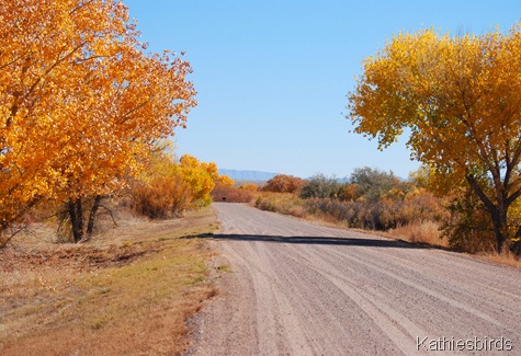 19. autumn road-kab