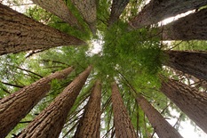 [IMG_47973.jpg]