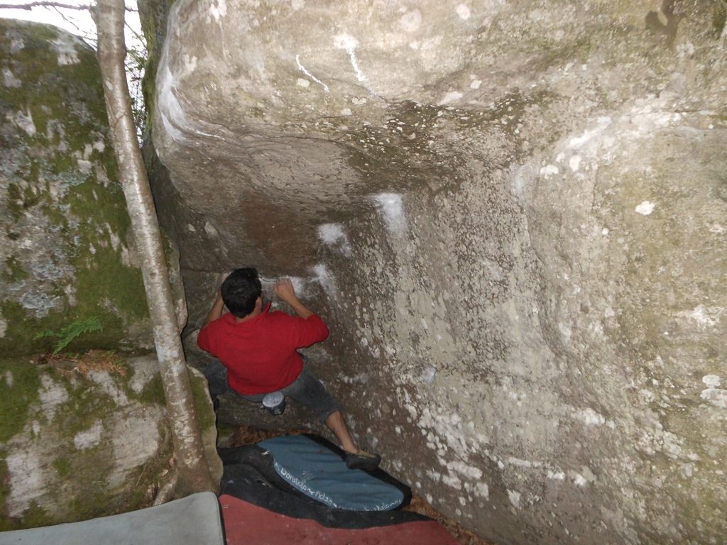 [DSCN1632.jpg]